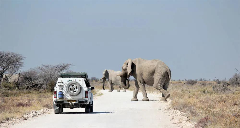 peligros en Namibia