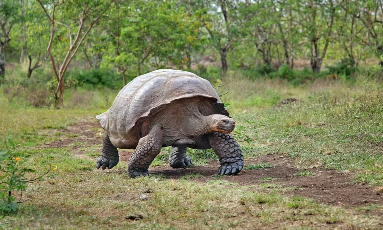 que hacer en Islas Galapagos