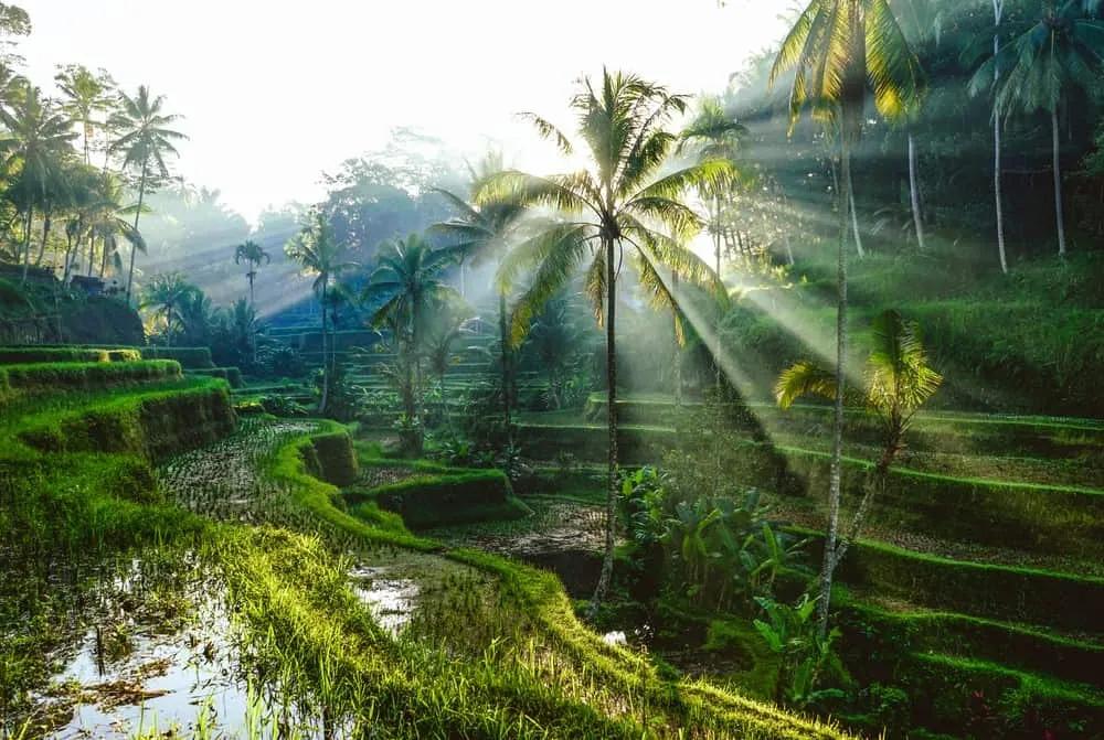 visitar Bali