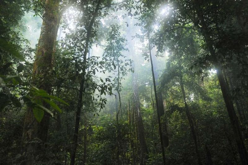 La mejor época para viajar a Costa Rica