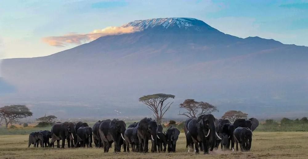Es seguro viajar a Tanzania y Zanzíbar