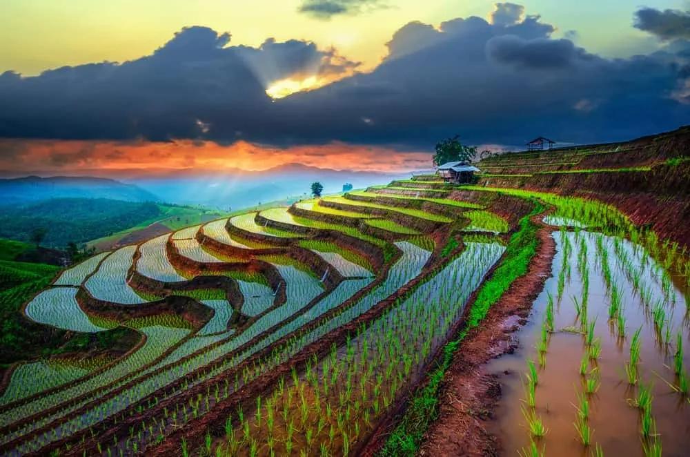 que hacer en Tailandia