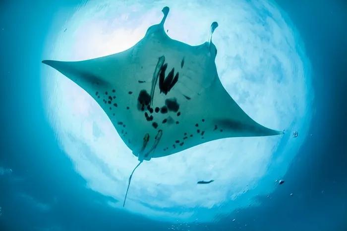 Indonesia Raja Ampat