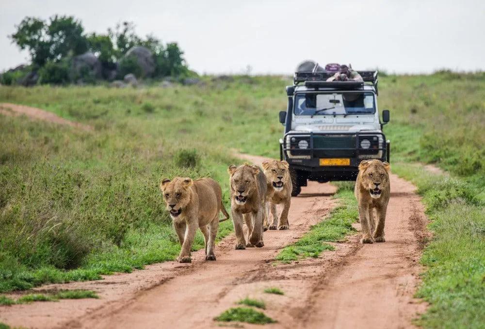 seguridad en Kenia
