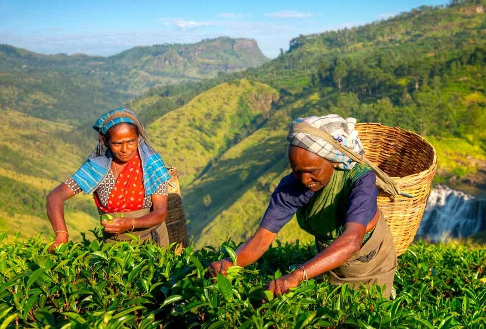 Sri Lanka para mujeres