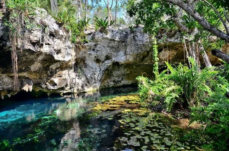 Los mejores cenotes de Riviera Maya en México