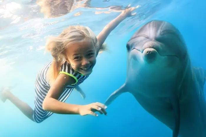 expectativa vs realidad turismo con animales