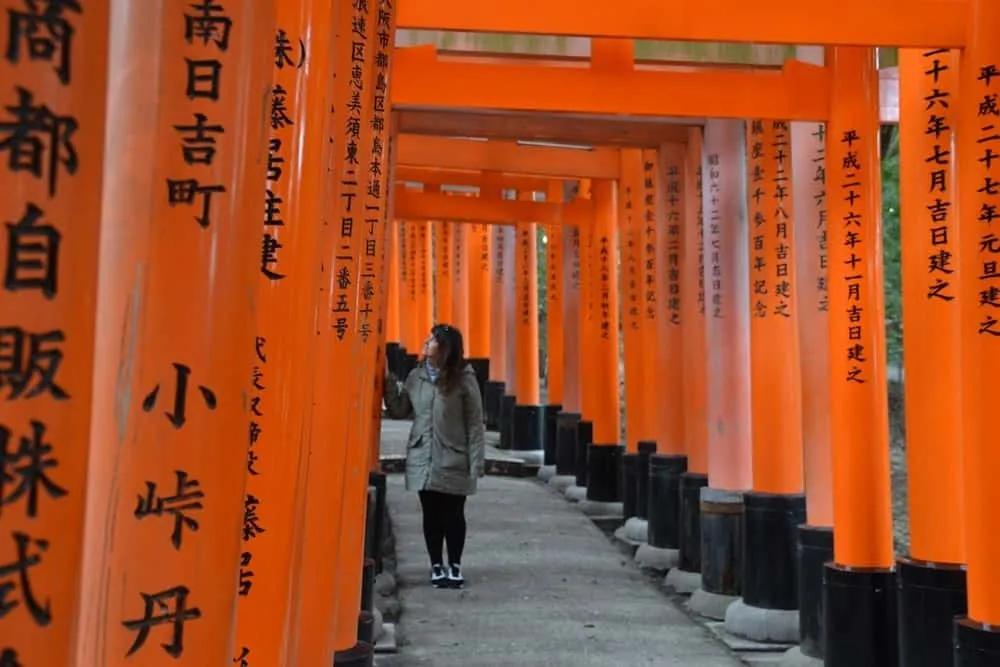 Japón en 2020