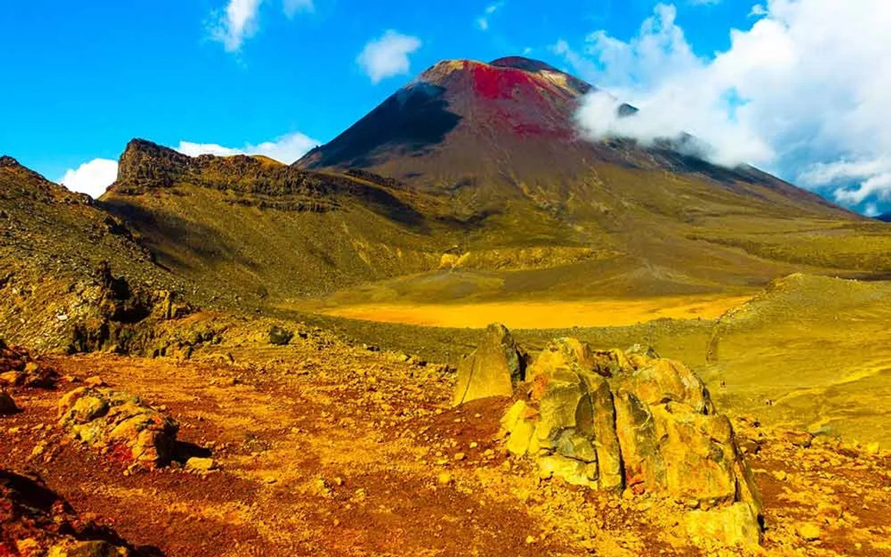 cuál es el mejor seguro médico para Nueva Zelanda