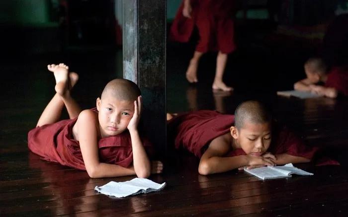 Niños monjes leyendo en un ambiente tranquilo y reflexivo.