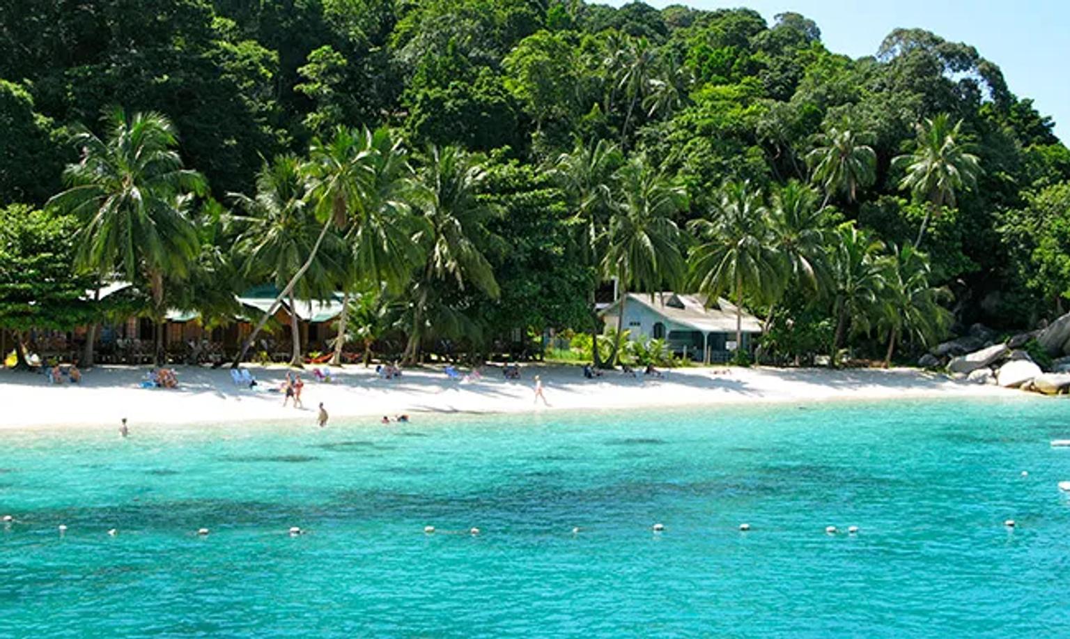 Playa paradisíaca con palmeras, arena blanca y aguas turquesas. Ideal para relajarse.