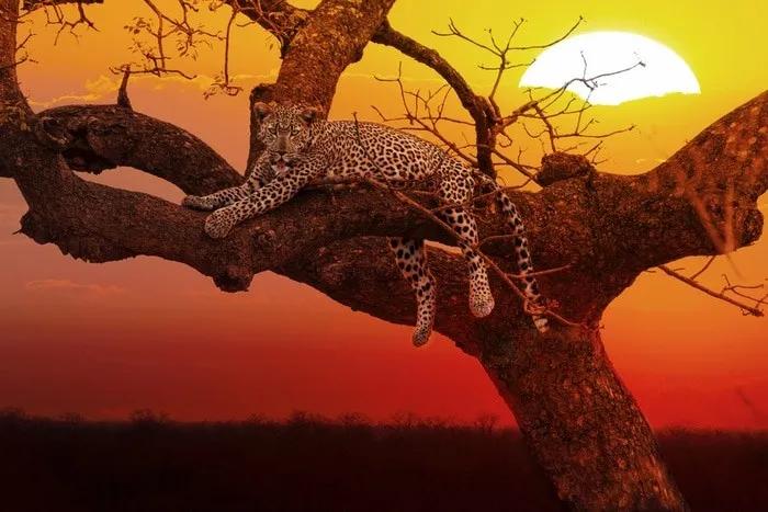 Itinerario de viaje a Sudáfrica