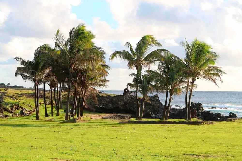 Lugares turísticos en la isla de los moáis