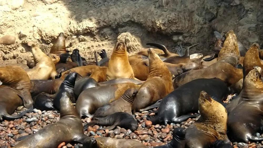 excursiones en Lima