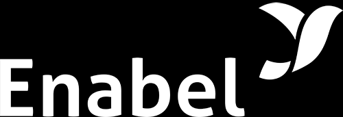Enabel logo