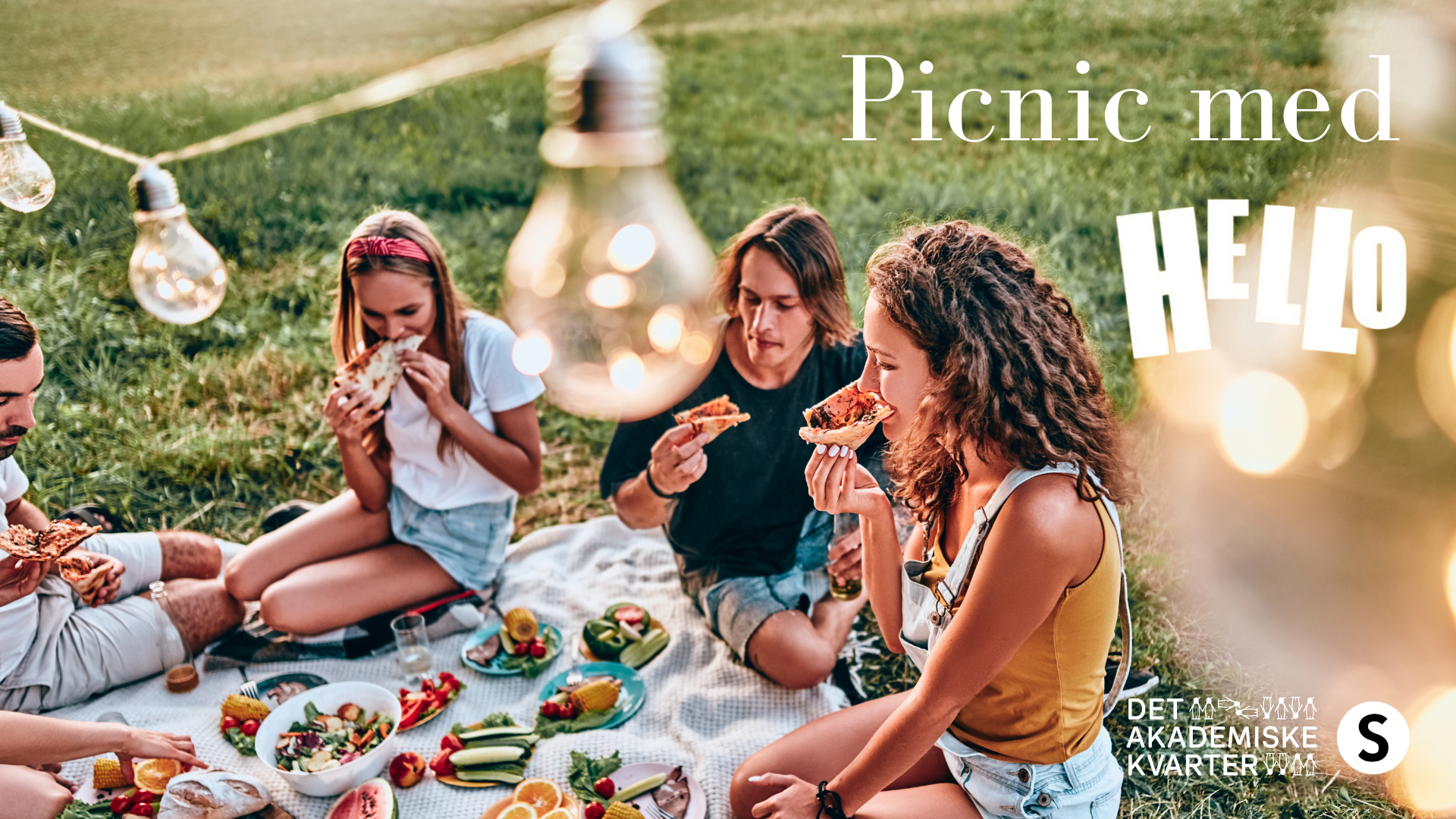 Picnic with Hello 🌸