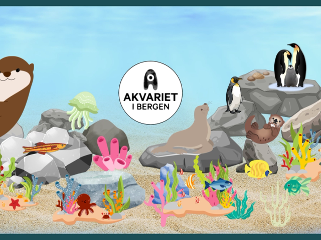 For mye vekt på dine poter? Kom og se på oter!