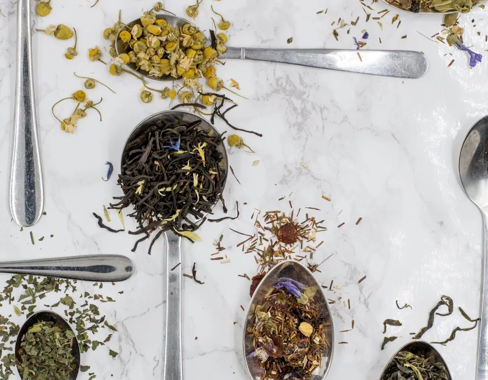 Staycation Collection  A beginner's guide to foraging in Germany