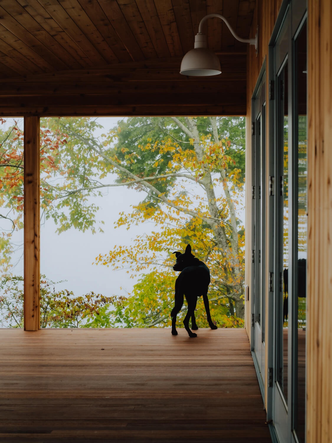 interior of the woodland cabin