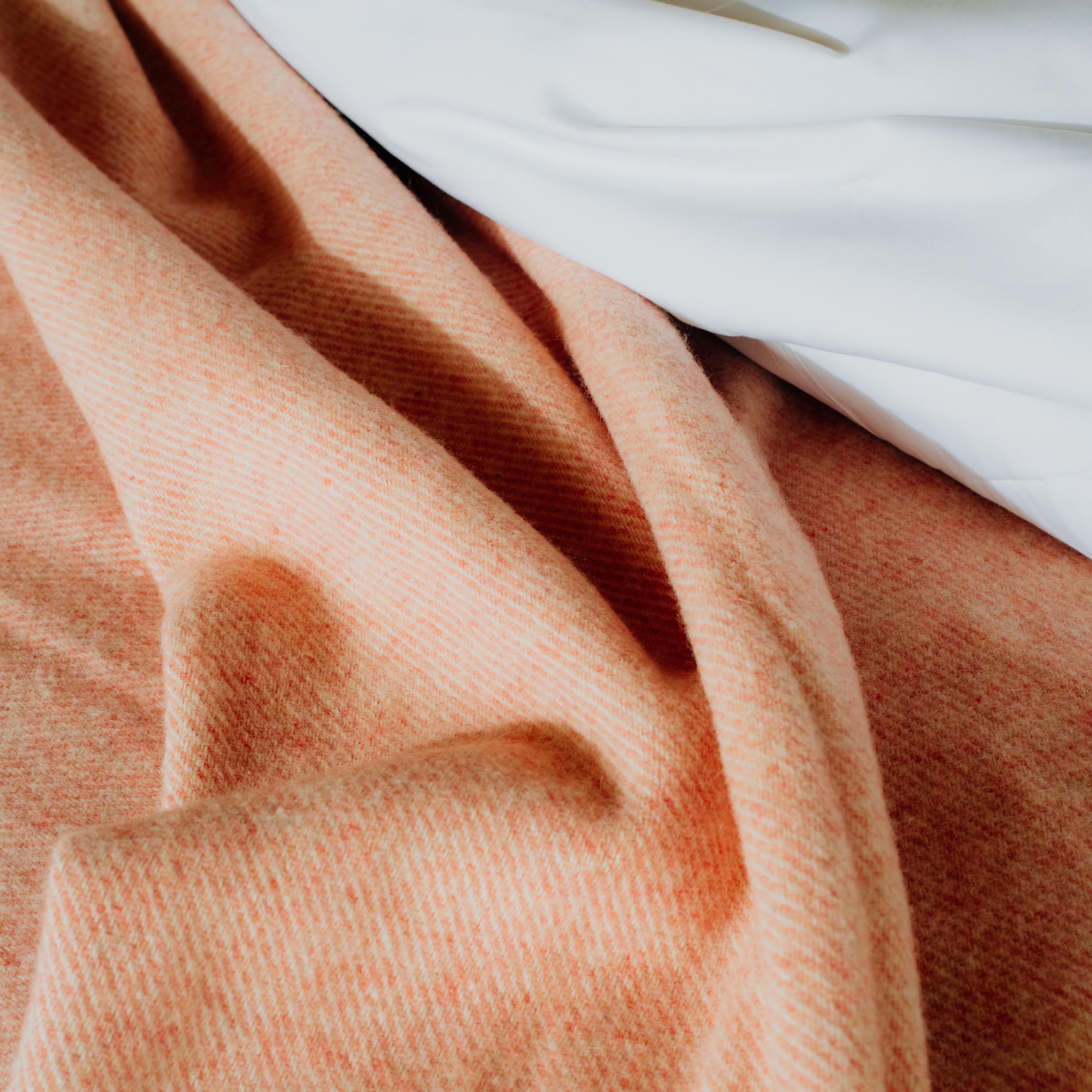 Lake Side Cabin Prospect