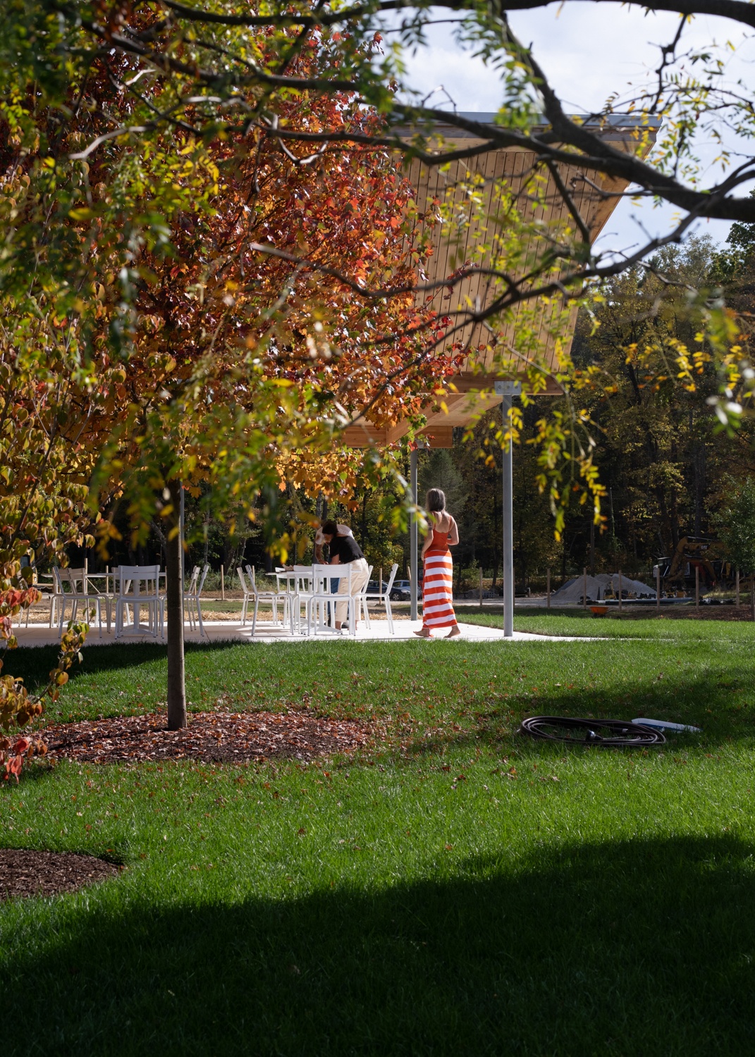 Woman walking in the trees
