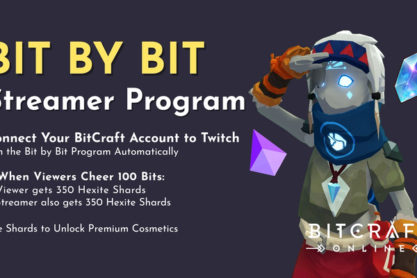 "Bit by Bit" Streamer Program