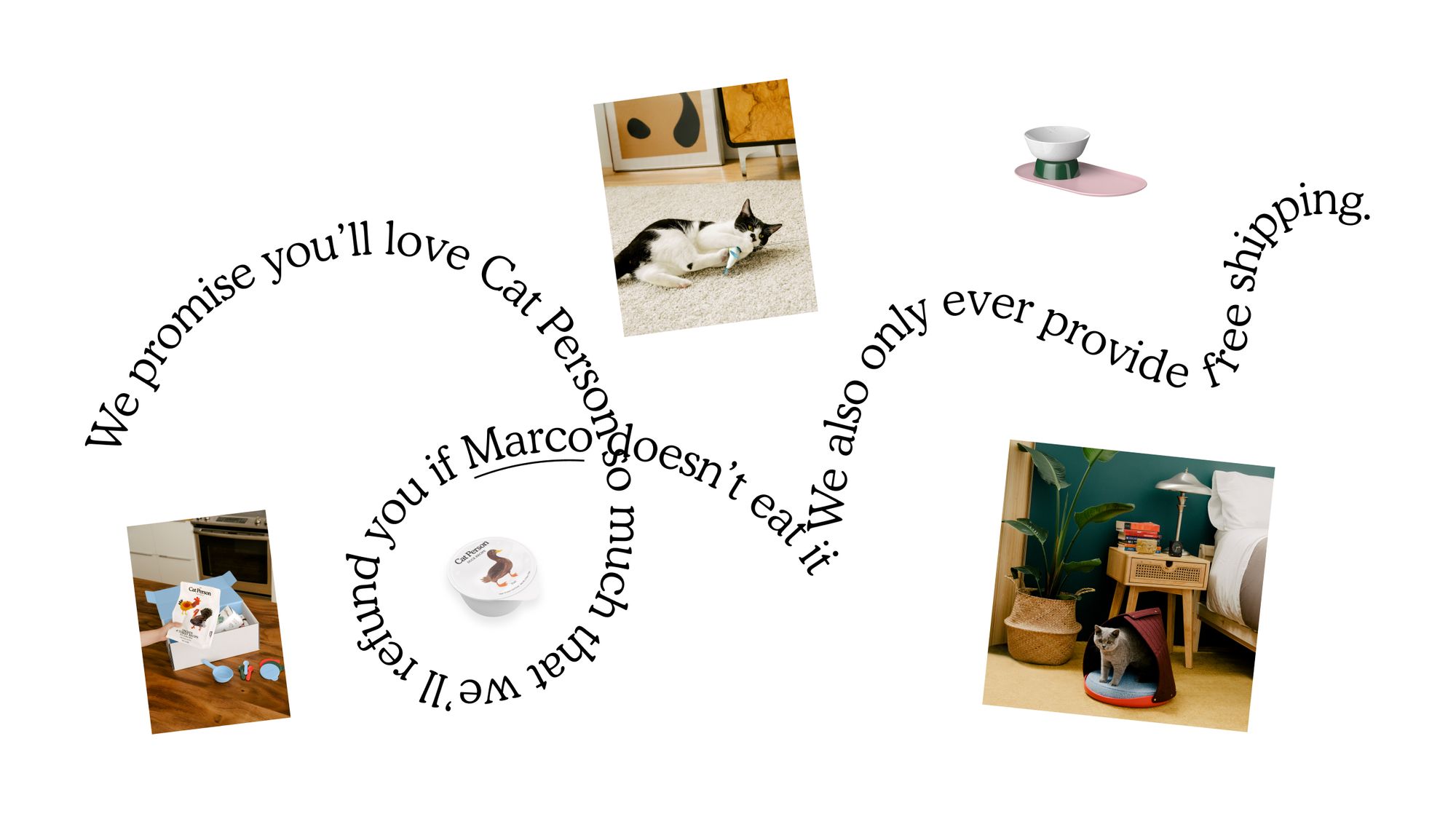 Cat Person Image 4