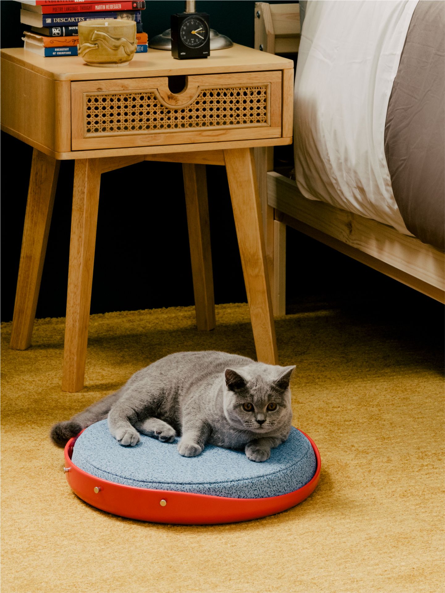 Cat Person Image 7