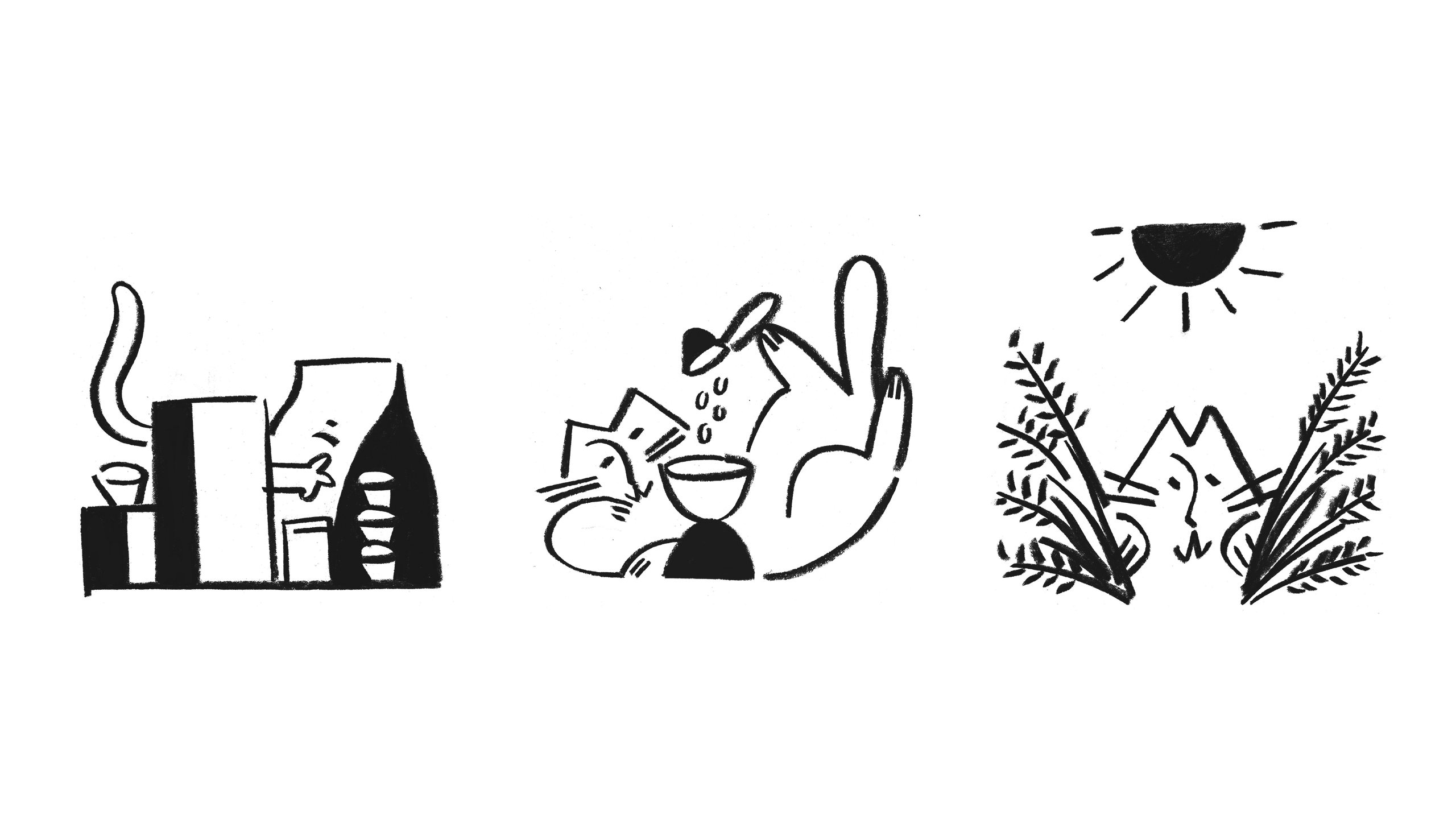 Cat Person Illustrations