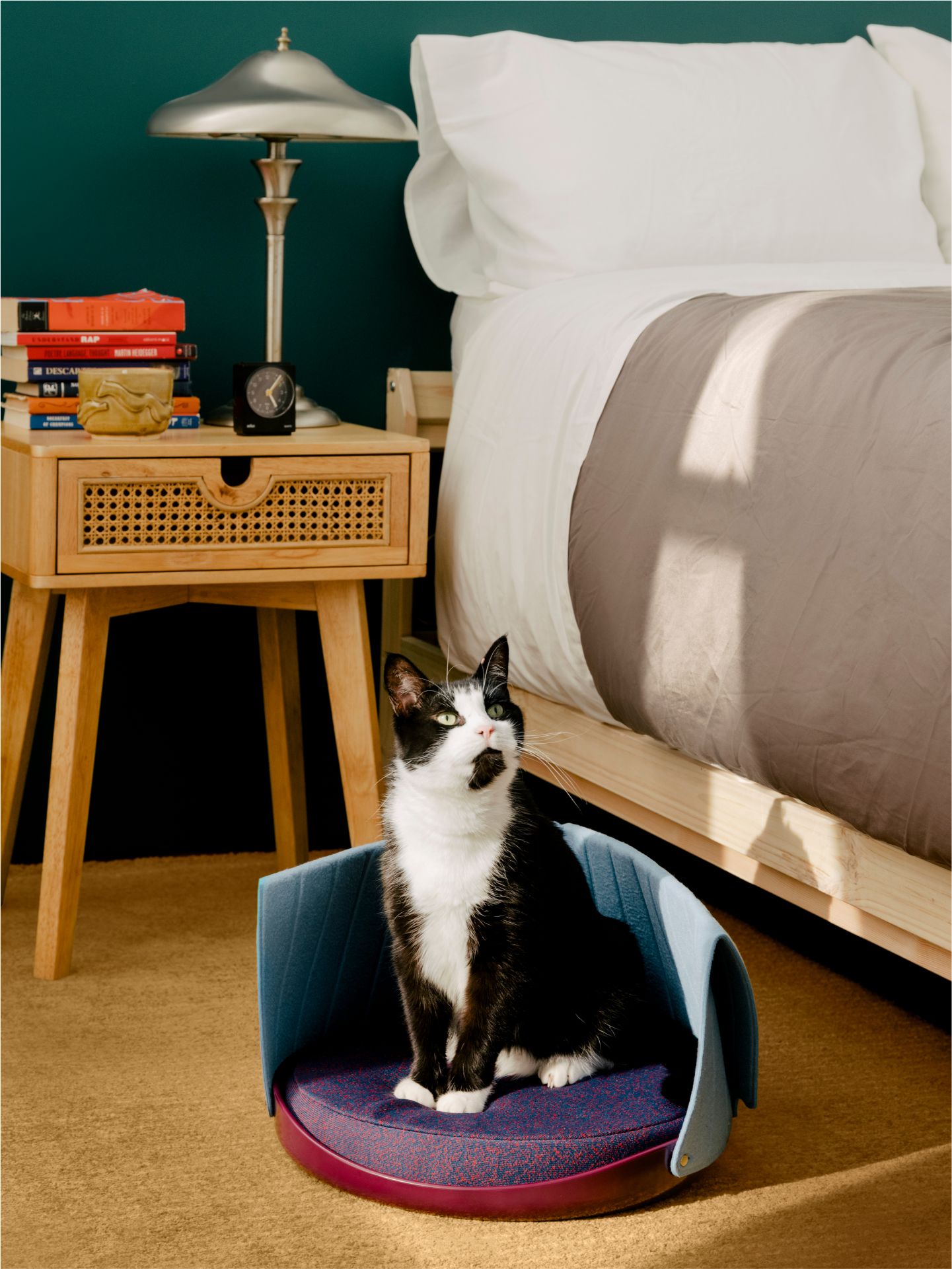 Cat Person Image 2