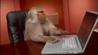 Monkey and Computer GIF from Giphy