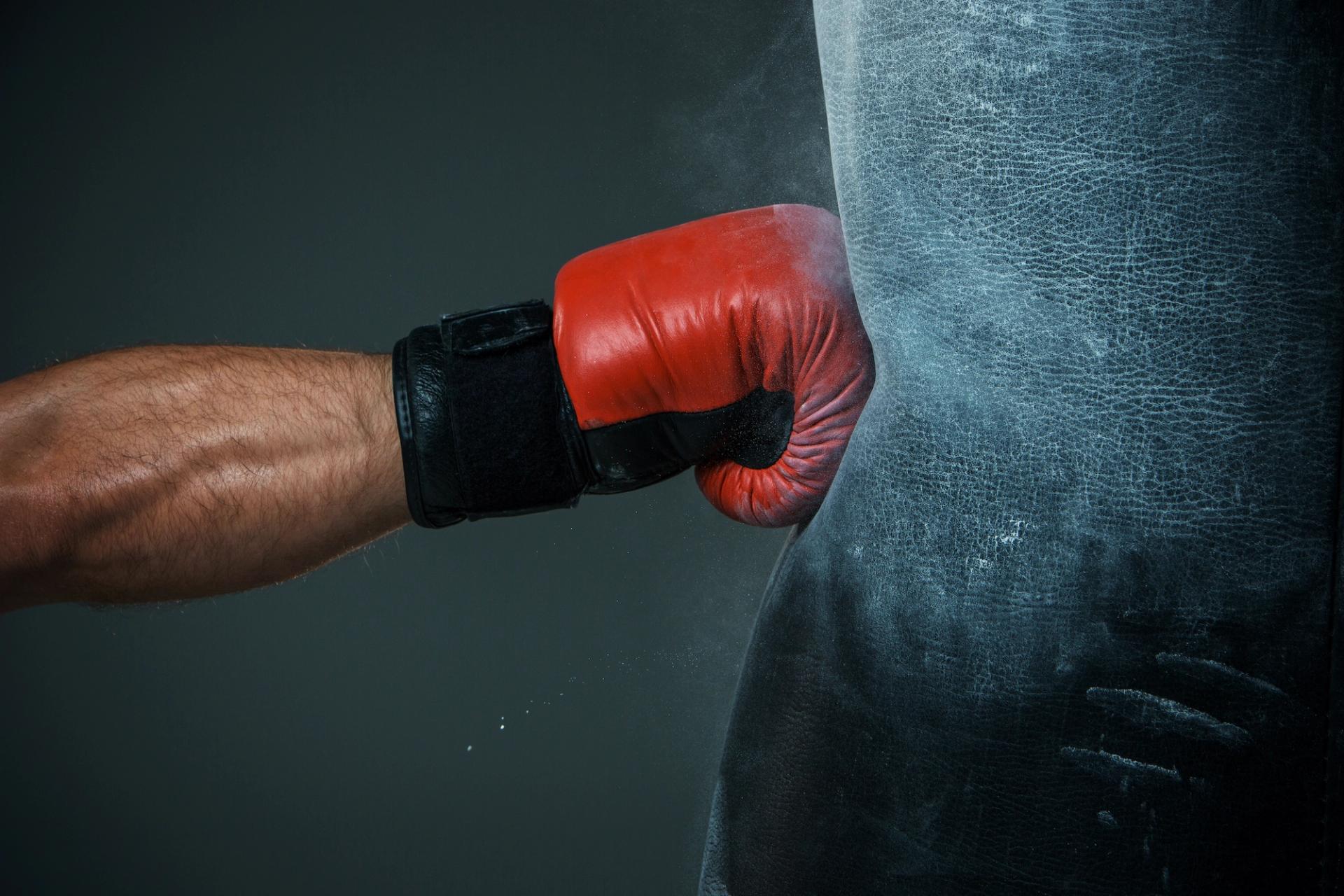 Best Punching Bags For Beginners In 2020