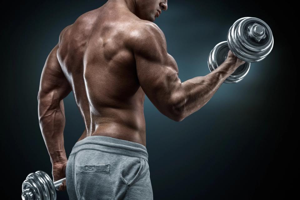 top-4-rear-delt-exercises-grow-strong-and-healthy-shoulders