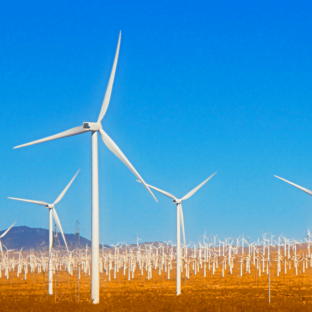 2022 Wind RFP The Competitiveness Improvement Project provides financial and technical support to small wind turbine manufacturers. The Bid Lab™ can help walk your small business through winning business strategies for 2022.