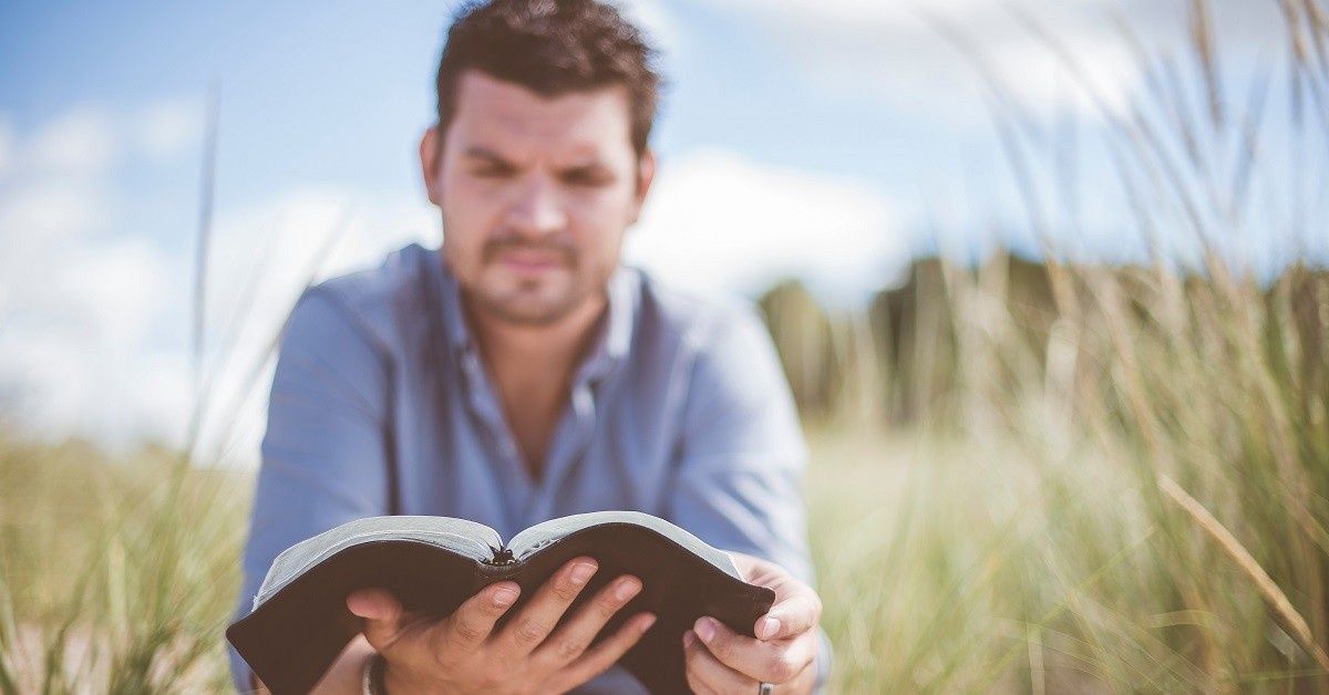 cover image for How To Read The Bible Like A Conqueror