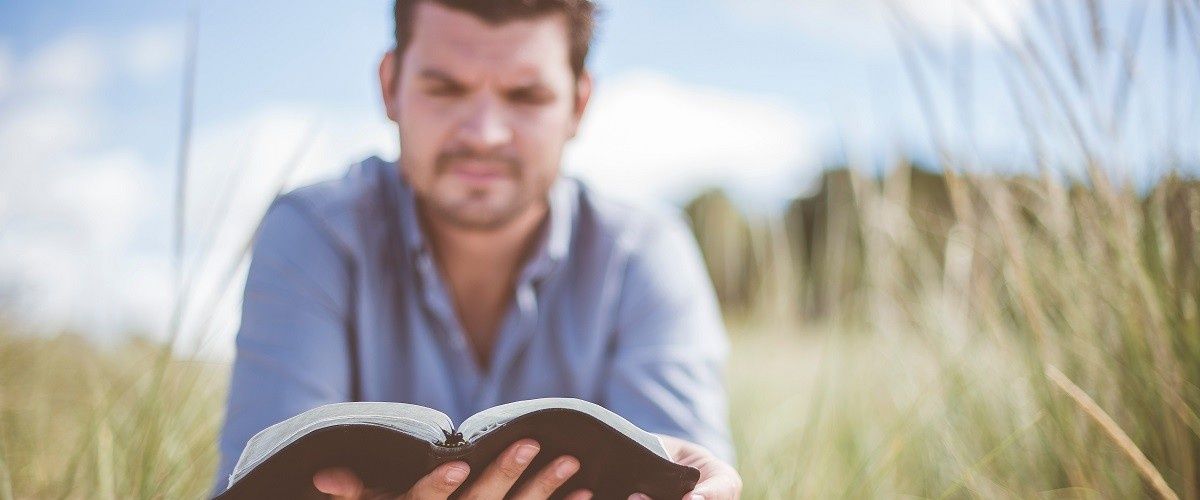 cover image for How To Read The Bible Like A Conqueror