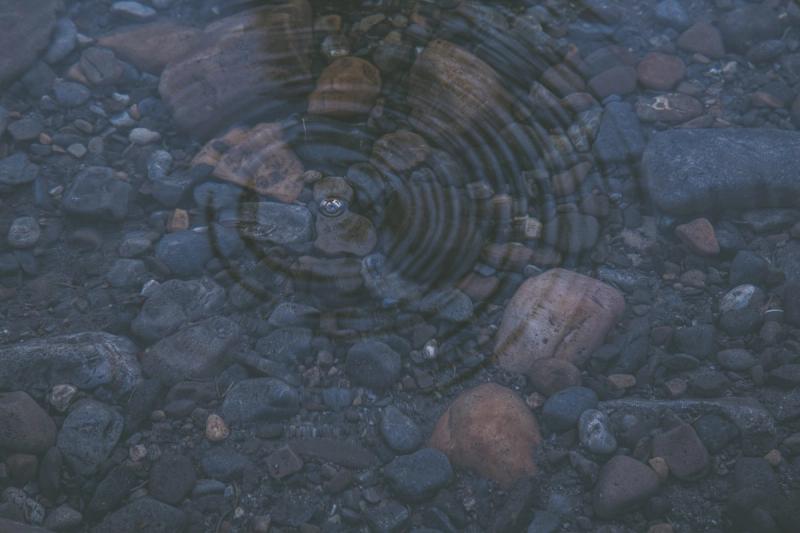 Traumatic experiences in our lives can have ripple effects for years to come if not dealt with. Traumatic experiences in our lives can have ripple effects for years to come if not dealt with.