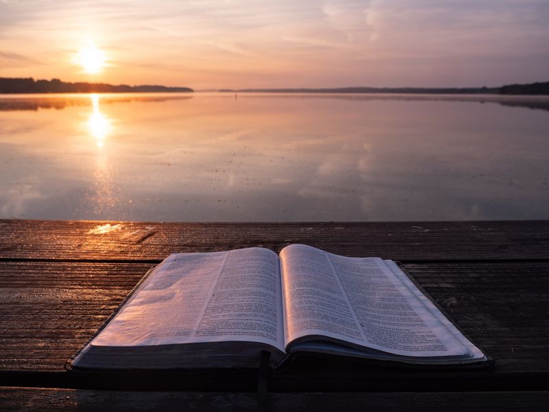 Daily, members should journal, meditate on Scripture, and complete the FASTER Scale. Daily, members should journal, meditate on Scripture, and complete the FASTER Scale.