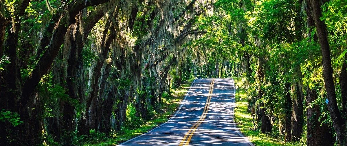 Full Disclosure – How Victory Over Shame Comes Through Honesty