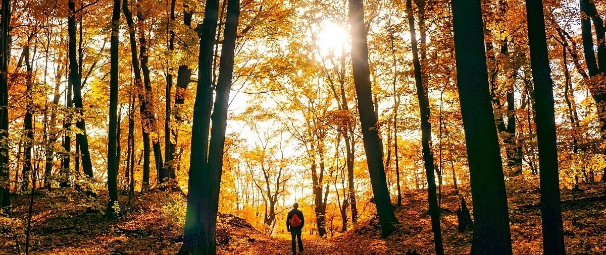 5 Reasons You Should Use The Conquer Series This Fall