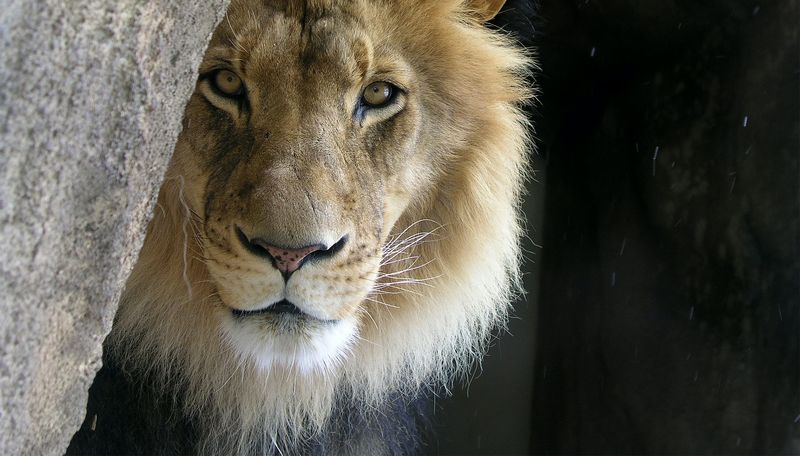 The enemy will prowl the perimeter looking for a weak point. The enemy will prowl the perimeter looking for a weak point.