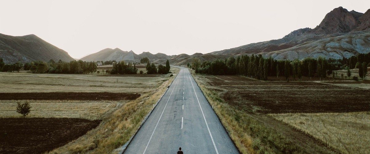 cover image for A Decade Of Regrets: Pain, Porn, And Personal Choices