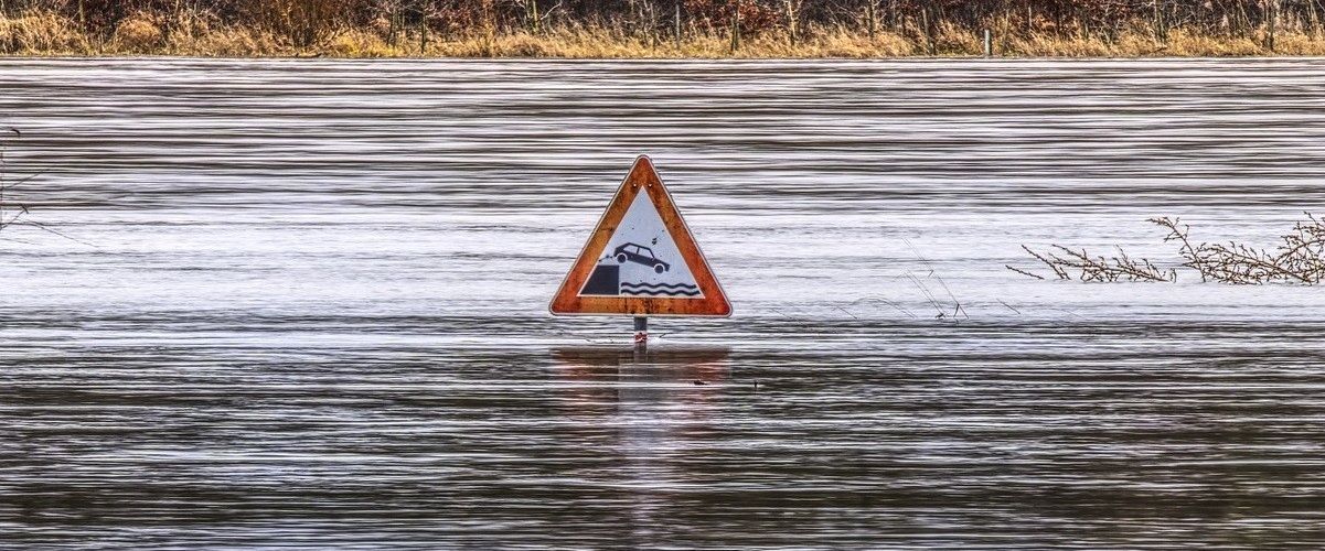 cover image for Your Relapse Early Warning Signal