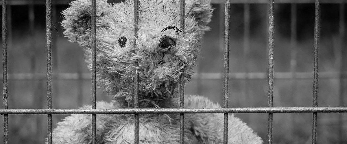 cover image for 109 Women & 45 Kids Rescued In Anti-Human Trafficking Operation