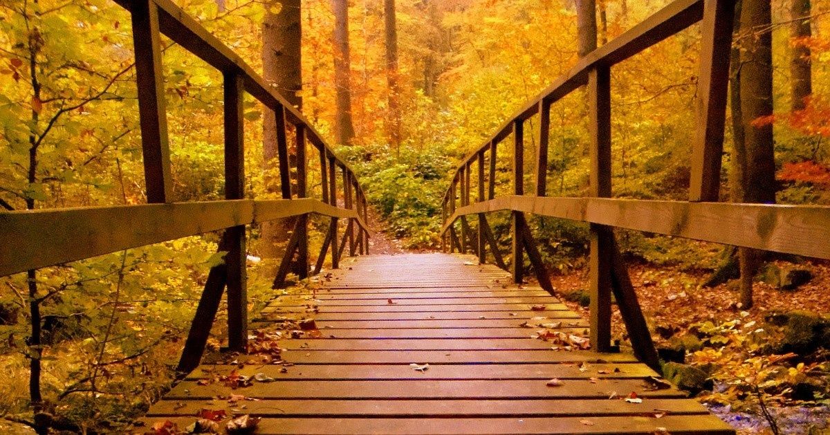 cover image for Why Fall Is The Perfect Time To Help Men Find Freedom From Porn