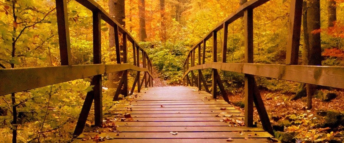 cover image for Why Fall Is The Perfect Time To Help Men Find Freedom From Porn