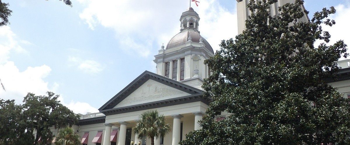 cover image for Florida Declares Porn A Public Health Risk