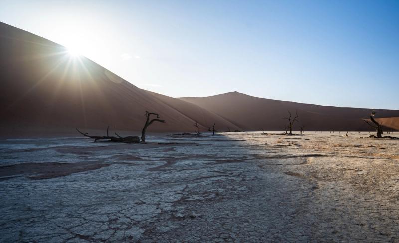 A famine struck the land, and by the third year, David knew that something was just not right. A famine struck the land, and by the third year, David knew that something was just not right.