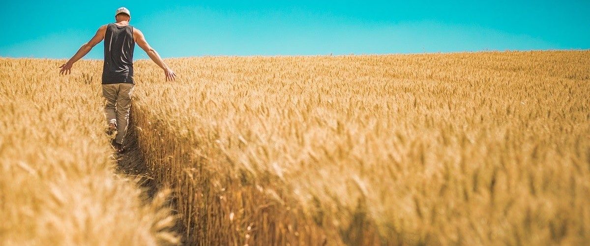 cover image for What Happens To The Family When A Parent Struggles With Porn?