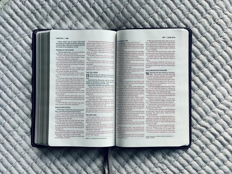 Luke 15 paints a great picture of God. Luke 15 paints a great picture of God.